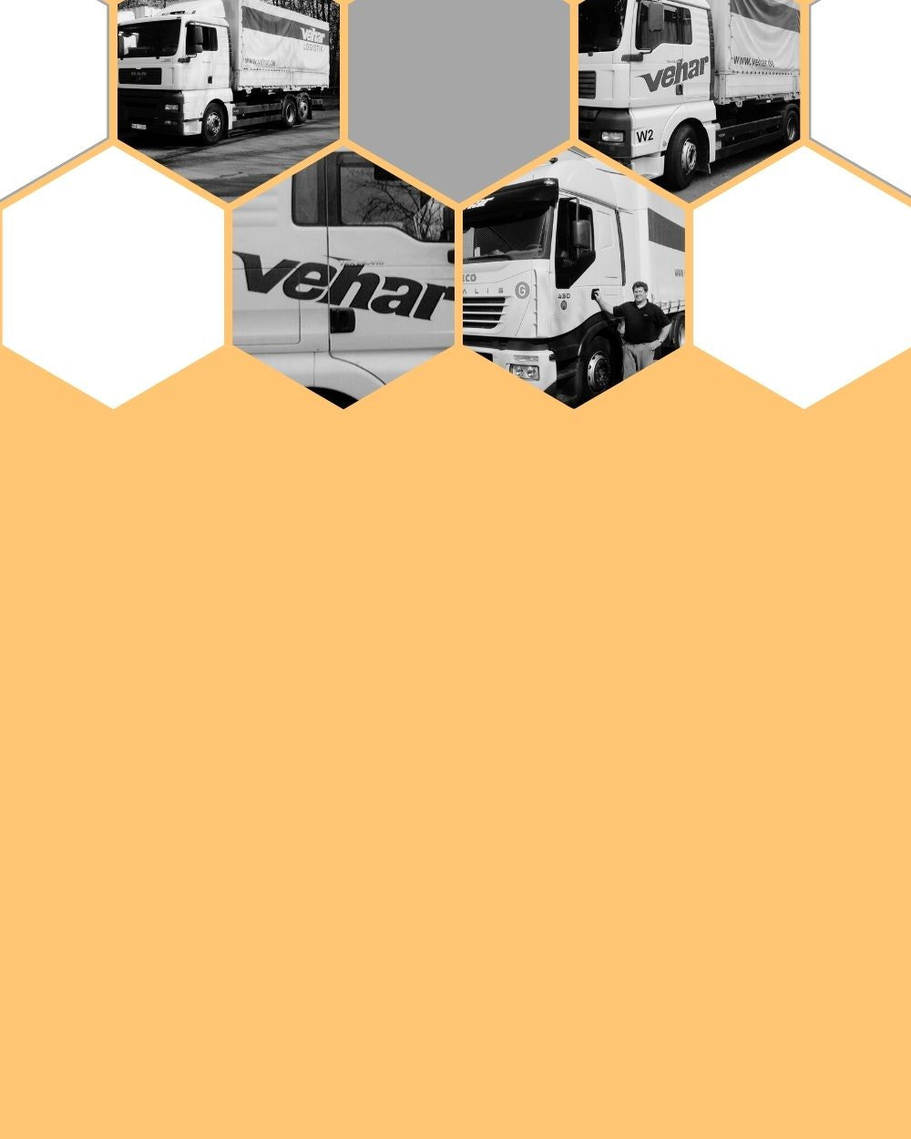 12-Tonnen-LKW-Flotte für internationale Komplettladungen von Vehar logistiko