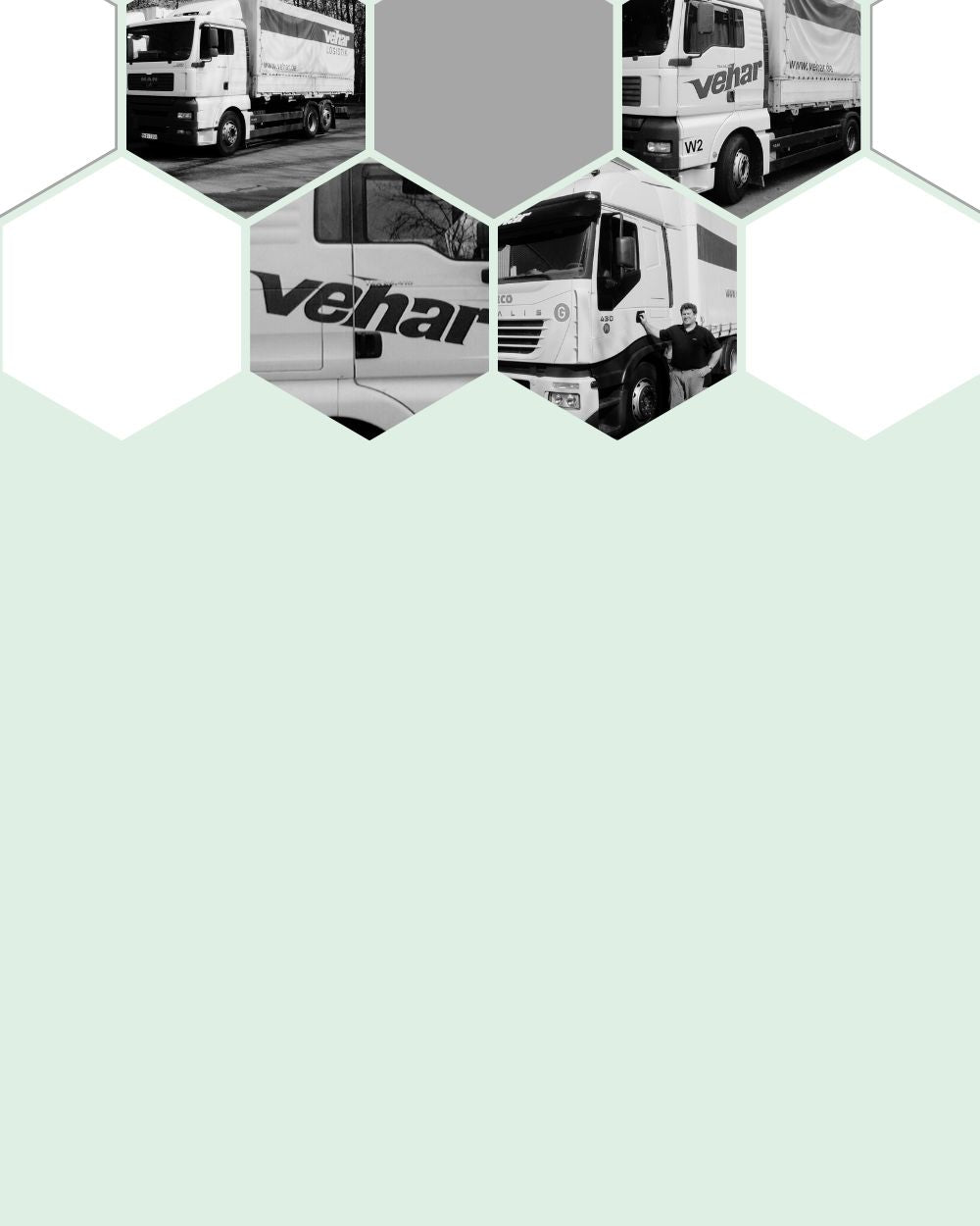 12-Tonnen-LKW-Flotte für internationale Teilladungen von Vehar logistiko