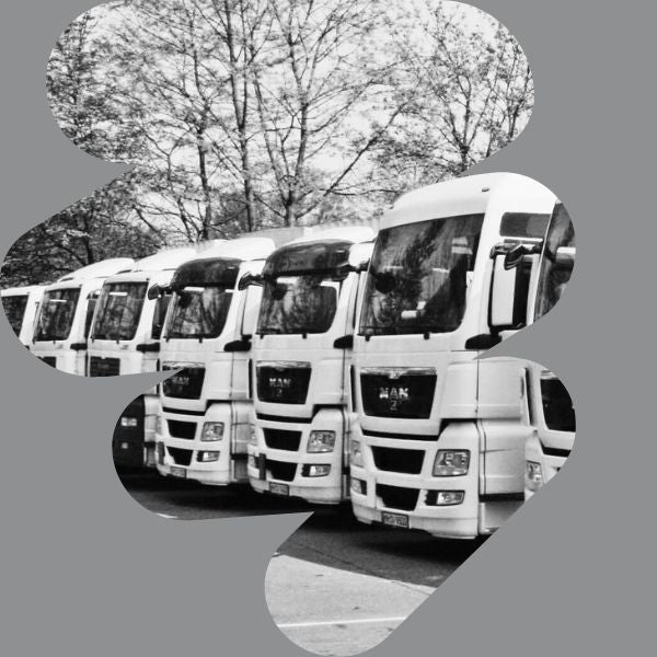 Spedition Spanien – LKW-Transport mit Vehar logistiko