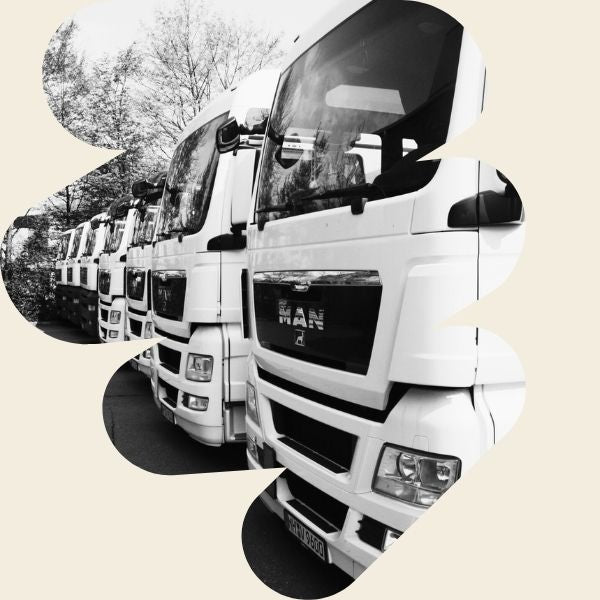 Spedition Essen – LKW-Transport mit moderner Flotte